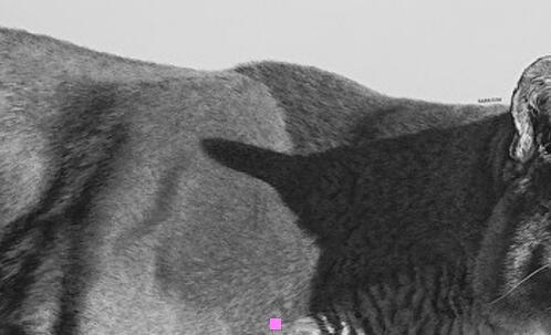 三西安妹子特点