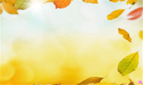 二张家界自由行攻略与费用