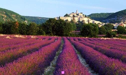 三张家界攻略二日游