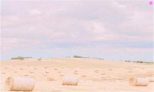 二奥运会2016中国金牌榜