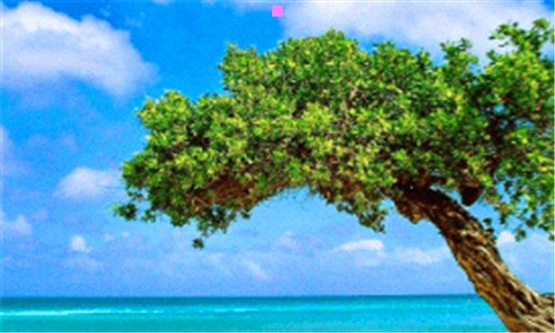 三首尔松坡区蚕室洞是富人区吗