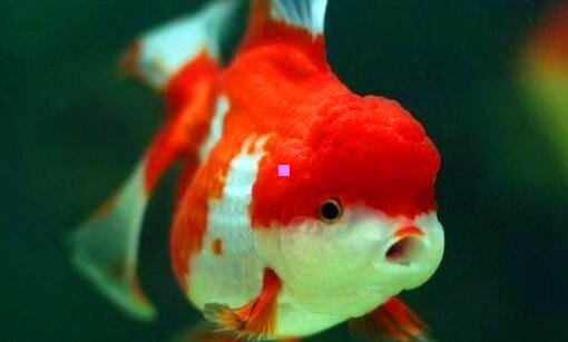 三24节气的少年