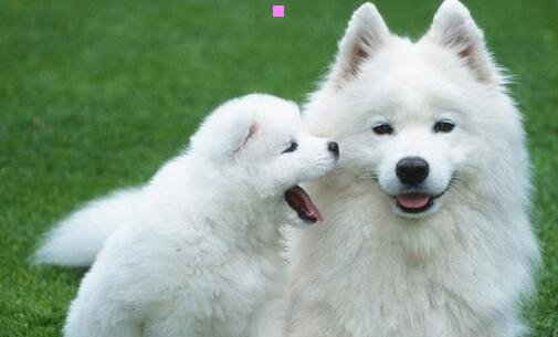 三入戏太深郑源原唱