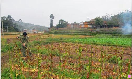 三宁武县副县长武强黑