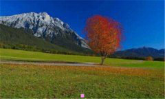 外地牌照-买新车如何上异地车牌