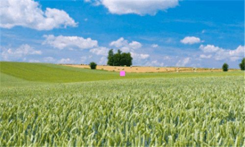 三当贝市场电视apk安装包