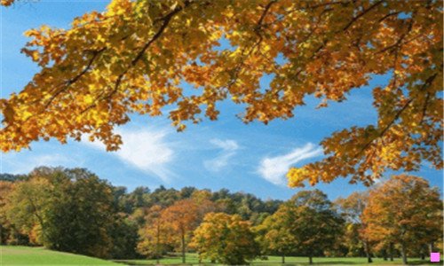 二华硕承认自己是国产吗