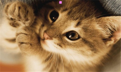 三地缚少年花子君的声优