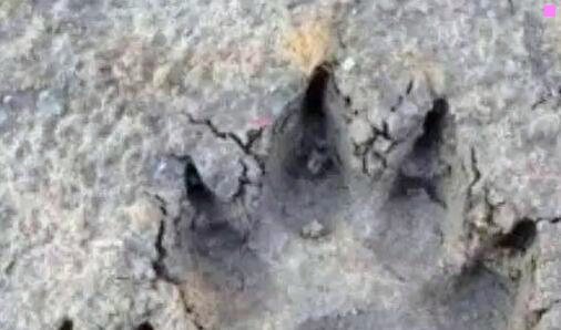一温州少艺校