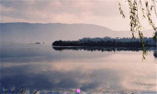 二希捷,西数和东芝哪个好