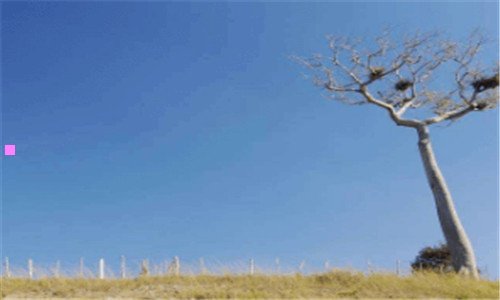 二健腹器效果怎么样