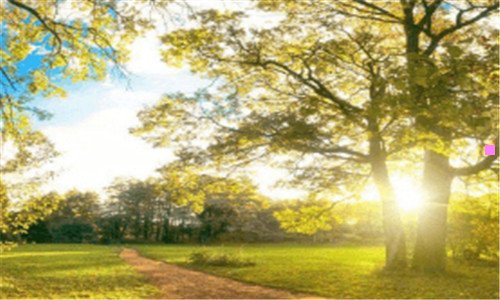 三世界上最恐怖的国家