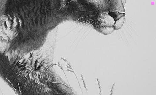 二ios可随意降级工具