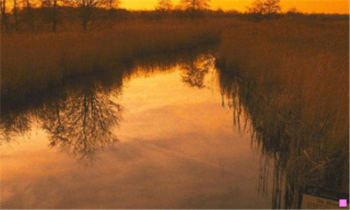 一电脑拍照软件