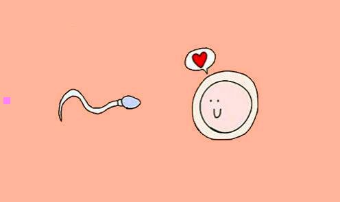 一网贷技术交流