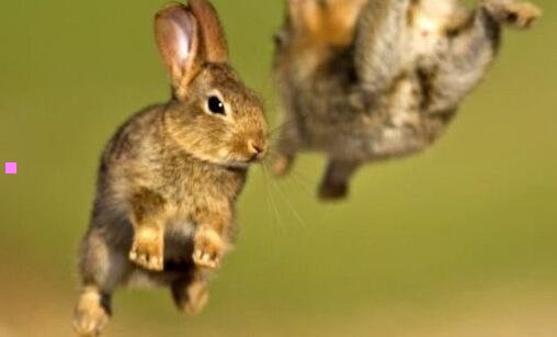 三密山48小时天气预报