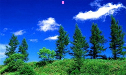 一亮晶晶