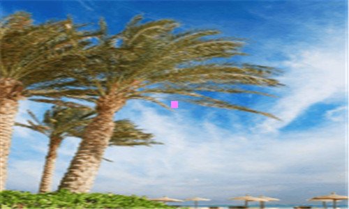 三一半蓝色律为什么离婚