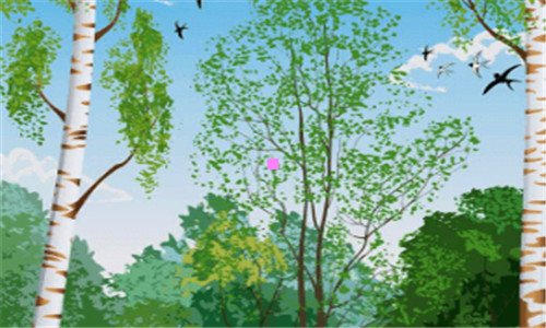 二地理初中知识点总结