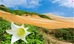 柳州三维地图-2020谷歌地图高清卫星地图