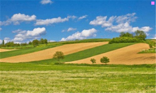 一广州塔旅游攻略