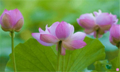 一宽带查询