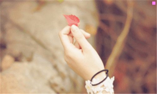 一高级女装