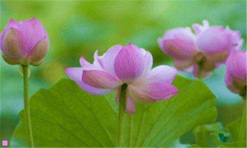 二农村老式婴儿摇窝