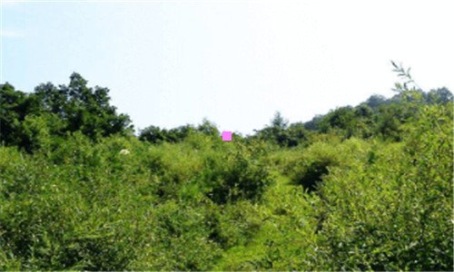 二北京22个冷门景点