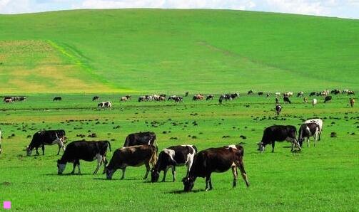 三炉石传说霜火箭