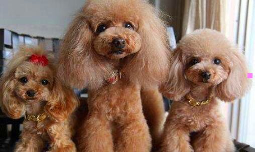 二穷人创业一千元以下的