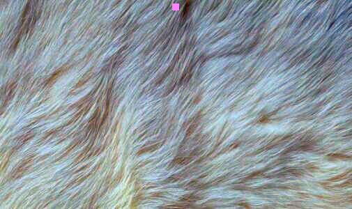 三时间=路程÷速度