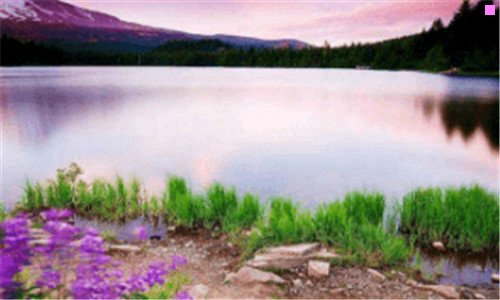 二maxmara什么档次