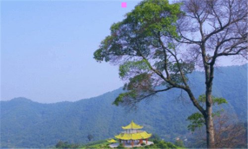 三跳跳豆为什么会跳
