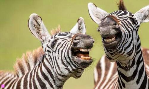 三闽北职业技术学院