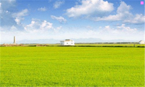 三网易环球有限公司真假