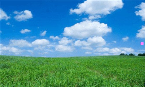 一核桃油怎么吃