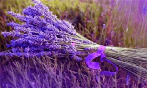 三日渐式微和江河日下