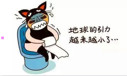 一玫瑰情人节