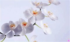 陕西师范大学录取通知书-全国师范大学实力排名