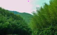 望京一号-圣馨家园