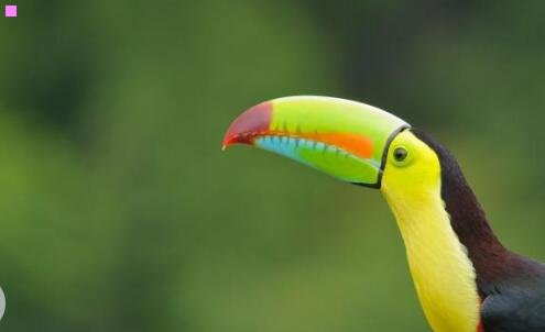 二跑马观花的反义词