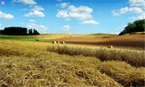 三面包厂急招包装工