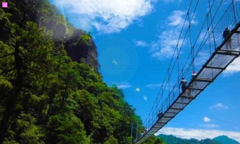 二湖南竞网是干什么的