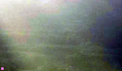 一湾仔码头水饺价格