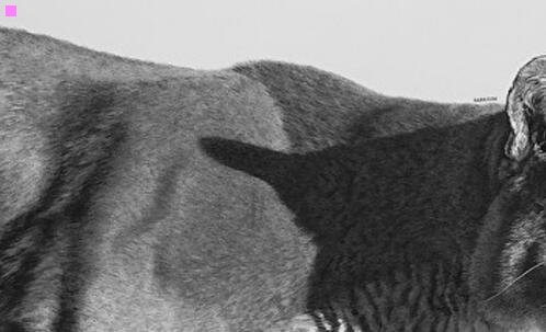 三第二部少年时代演员表