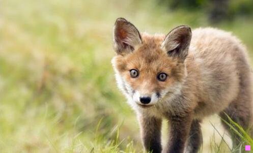 二音乐人物拿着鞭子