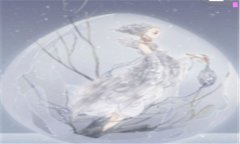 星之魂-我的英雄魂卡怎么升星