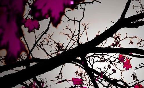 二高圆圆单身男女2