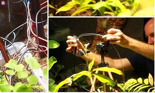 一单身男女2下载